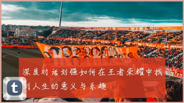 深度对话刘强如何在王者荣耀中找到人生的意义与乐趣