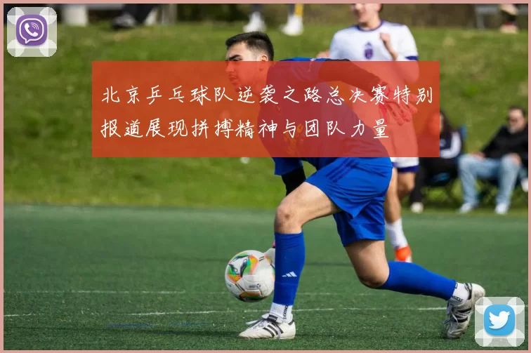 北京乒乓球队逆袭之路总决赛特别报道展现拼搏精神与团队力量