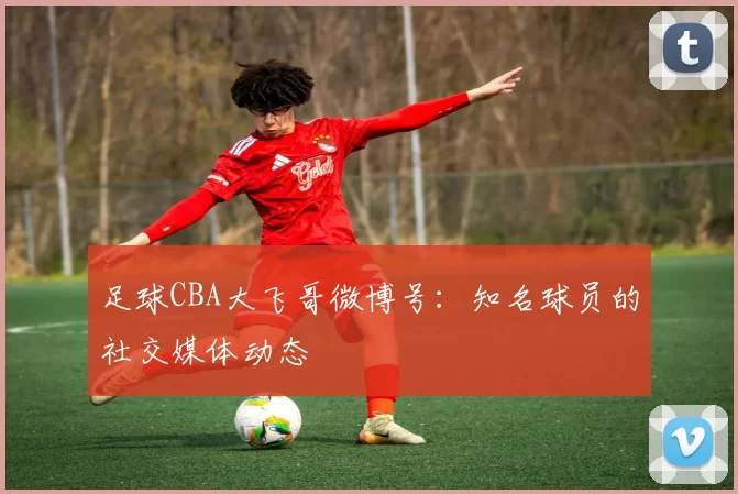 足球CBA大飞哥微博号：知名球员的社交媒体动态
