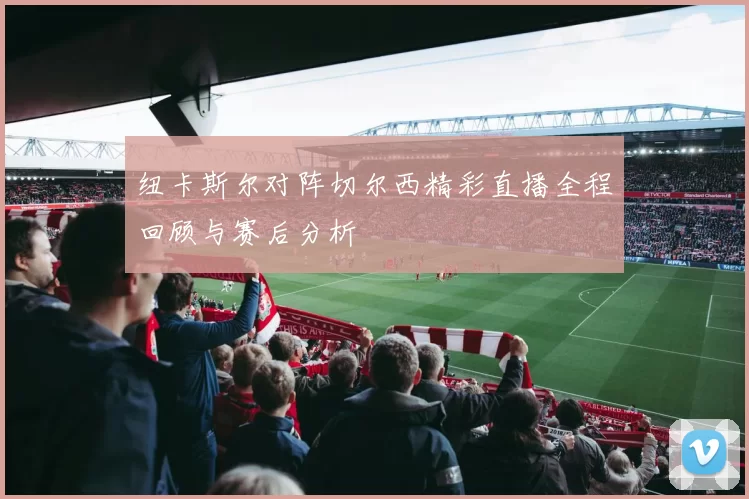 纽卡斯尔对阵切尔西精彩直播全程回顾与赛后分析