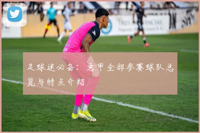 足球迷必备：意甲全部参赛球队总览与特点介绍