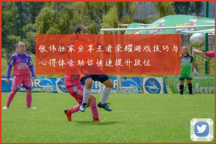 张伟独家分享王者荣耀游戏技巧与心得体会助你快速提升段位