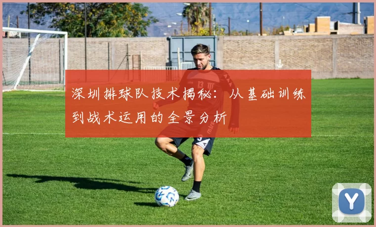 深圳排球队技术揭秘：从基础训练到战术运用的全景分析