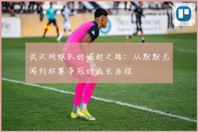 武汉网球队的崛起之路：从默默无闻到杯赛争冠的成长历程