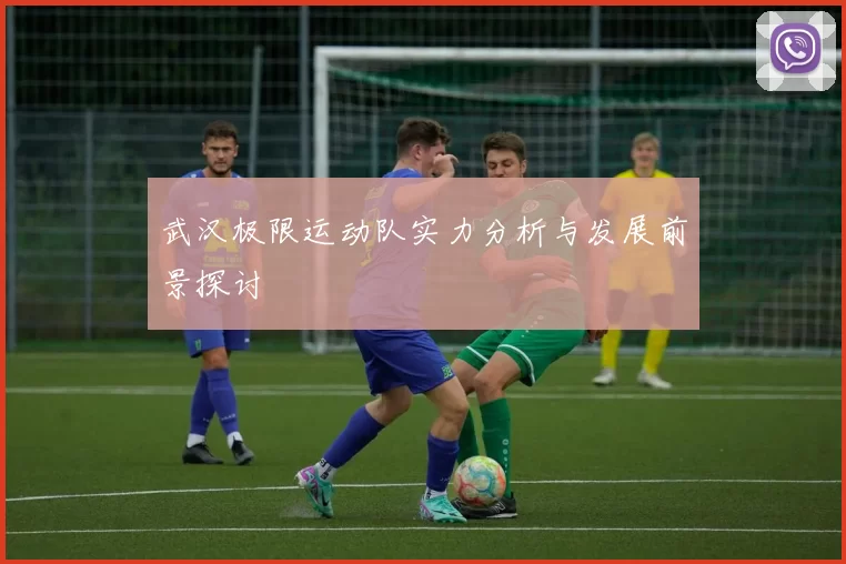 武汉极限运动队实力分析与发展前景探讨