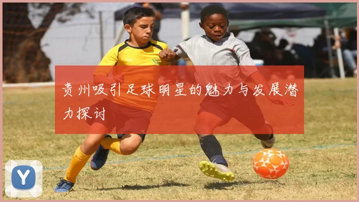 贵州吸引足球明星的魅力与发展潜力探讨