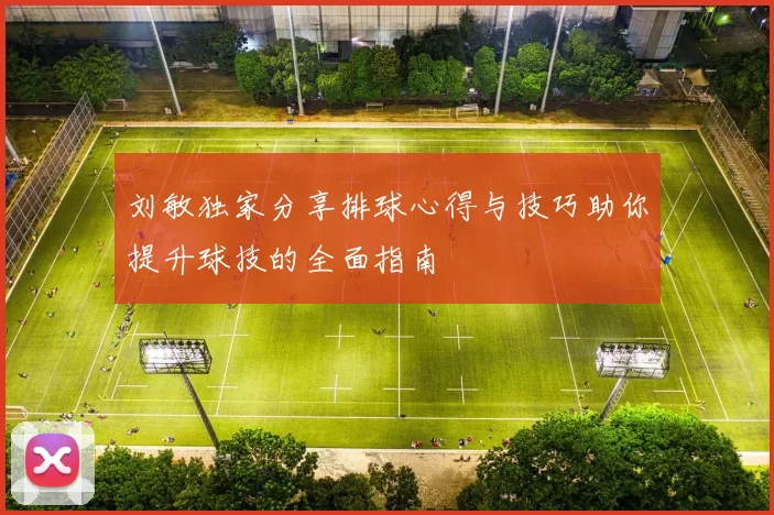 刘敏独家分享排球心得与技巧助你提升球技的全面指南