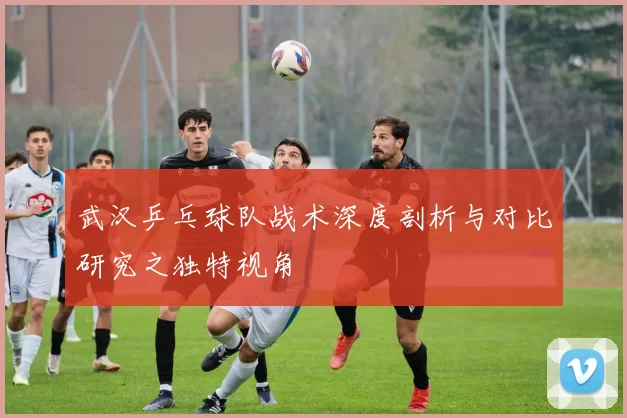 武汉乒乓球队战术深度剖析与对比研究之独特视角