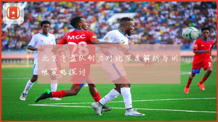 北京飞盘队耐力对比深度解析与训练策略探讨