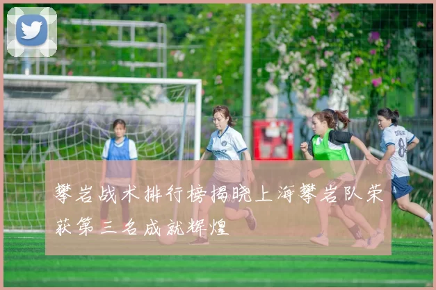 攀岩战术排行榜揭晓上海攀岩队荣获第三名成就辉煌