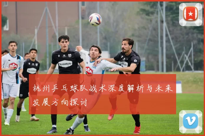 杭州乒乓球队战术深度解析与未来发展方向探讨