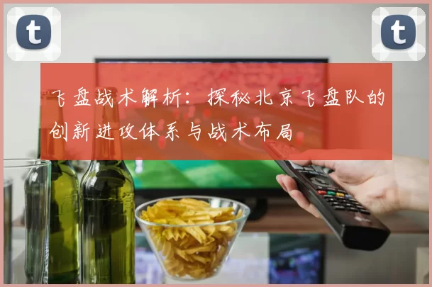 飞盘战术解析：探秘北京飞盘队的创新进攻体系与战术布局