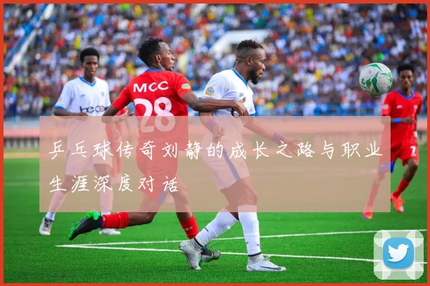 乒乓球传奇刘静的成长之路与职业生涯深度对话