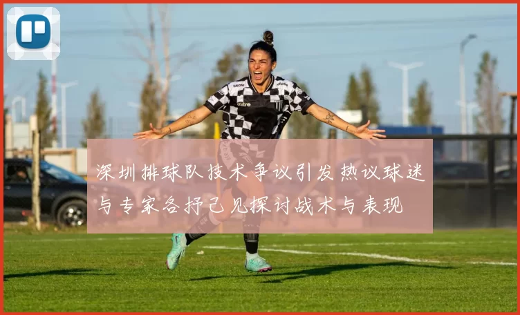 深圳排球队技术争议引发热议球迷与专家各抒己见探讨战术与表现